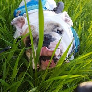 Meet your Posher, Alison